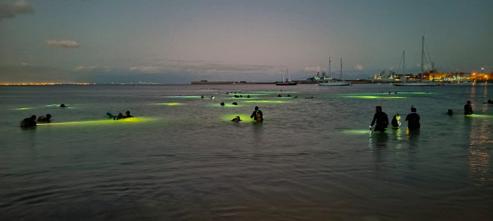 64d1ce5c-91f7-4236-9d05-bf1288afd39c